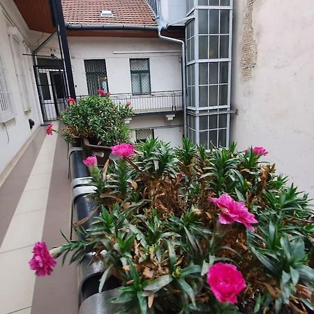 Violet Apartment With Air Condition 布达佩斯 外观 照片