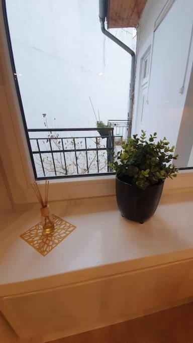 Violet Apartment With Air Condition 布达佩斯 外观 照片