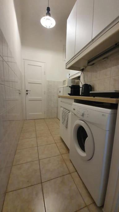 Violet Apartment With Air Condition 布达佩斯 外观 照片